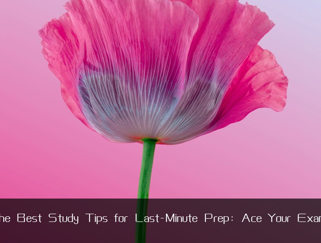 The Best Study Tips for Last-Minute Prep: Ace Your Exams