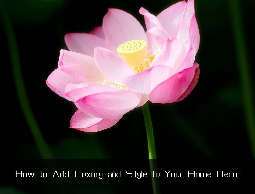 How to Add Luxury and Style to Your Home Decor