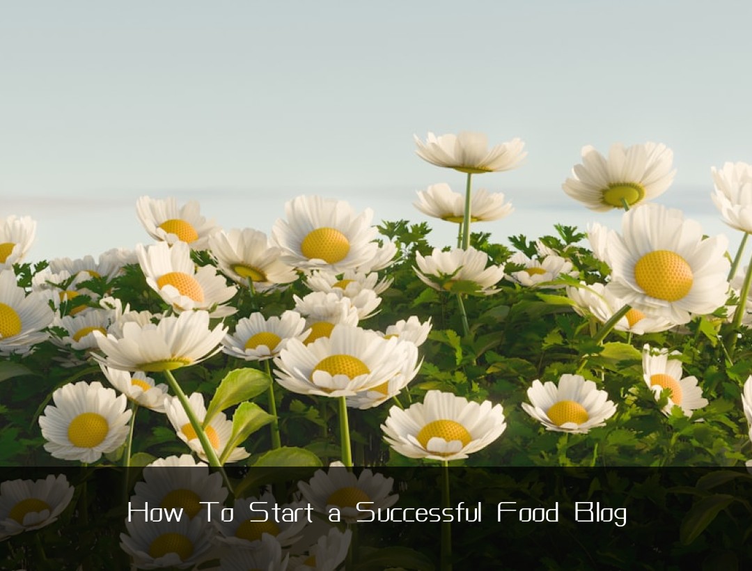 How To Start a Successful Food Blog