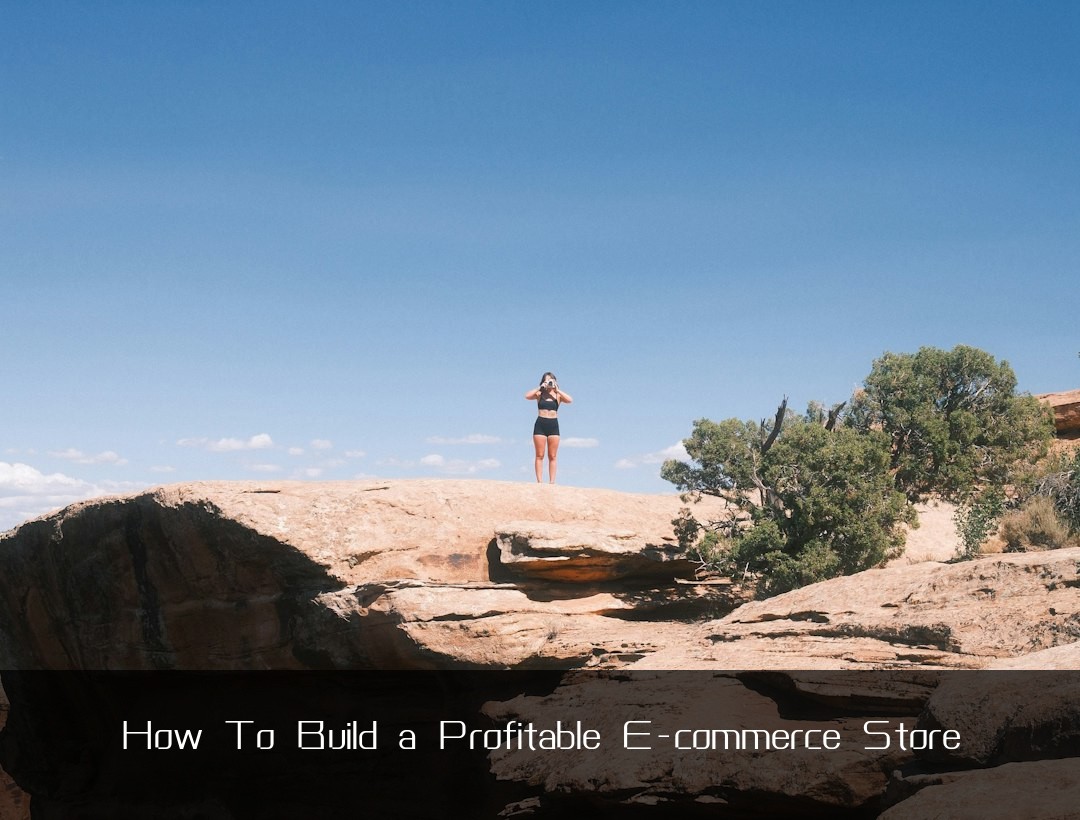How To Build a Profitable E-commerce Store