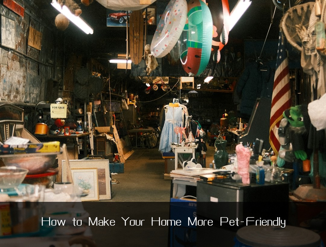 How to Make Your Home More Pet-Friendly