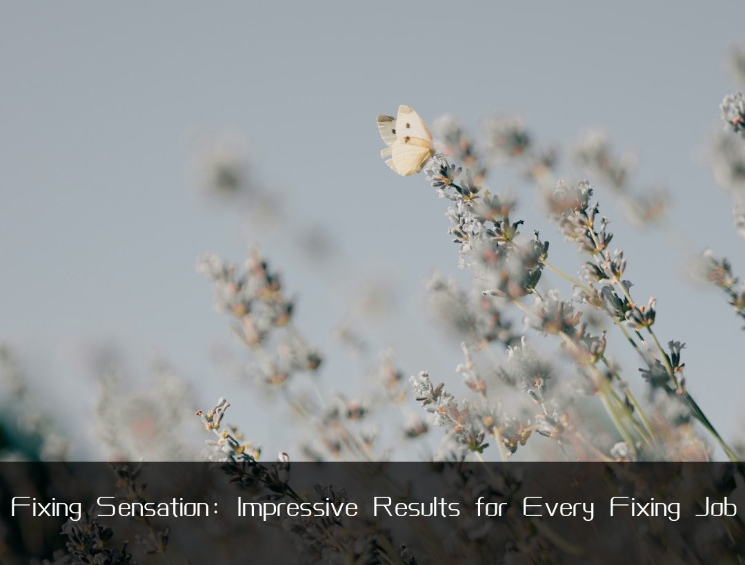 Fixing Sensation: Impressive Results for Every Fixing Job