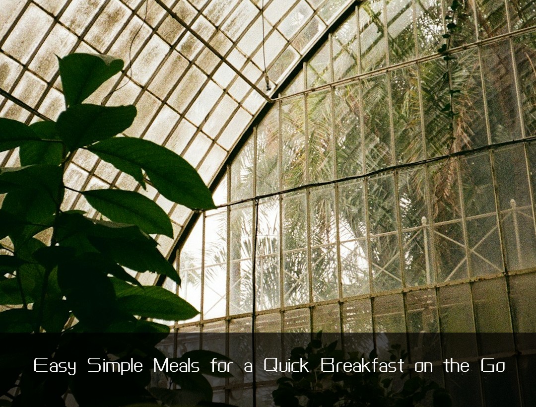 Easy Simple Meals for a Quick Breakfast on the Go