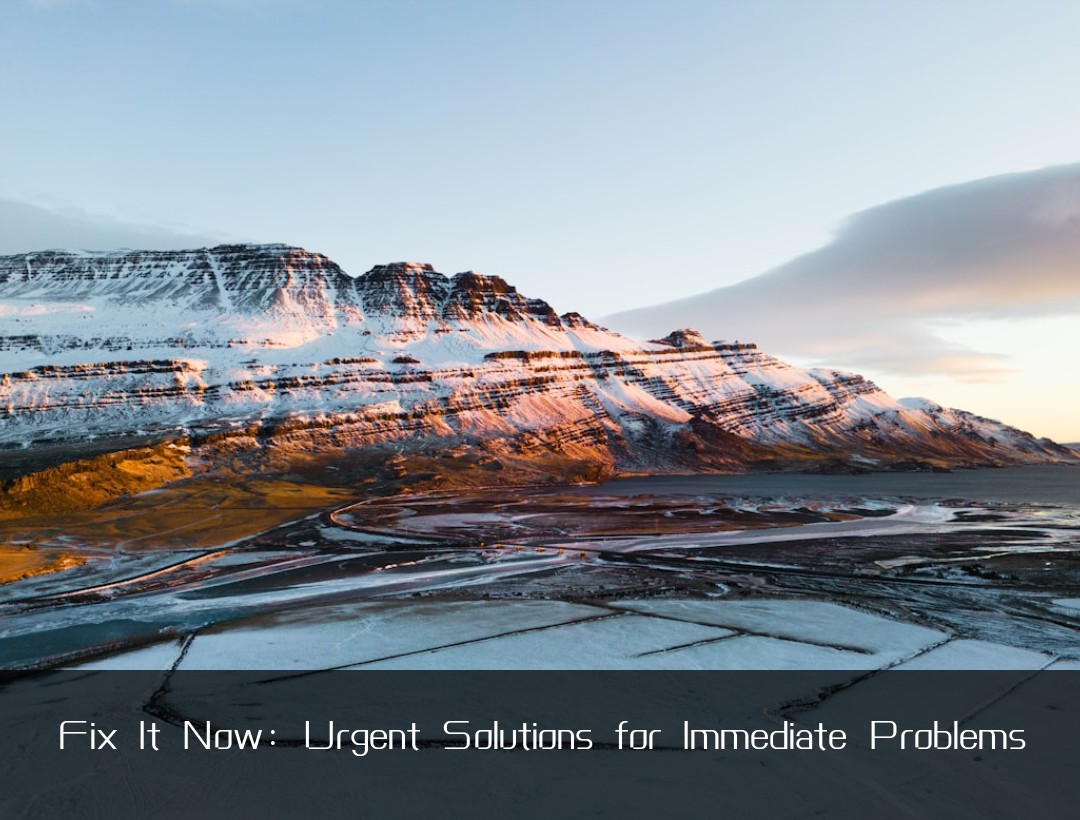 Fix It Now: Urgent Solutions for Immediate Problems