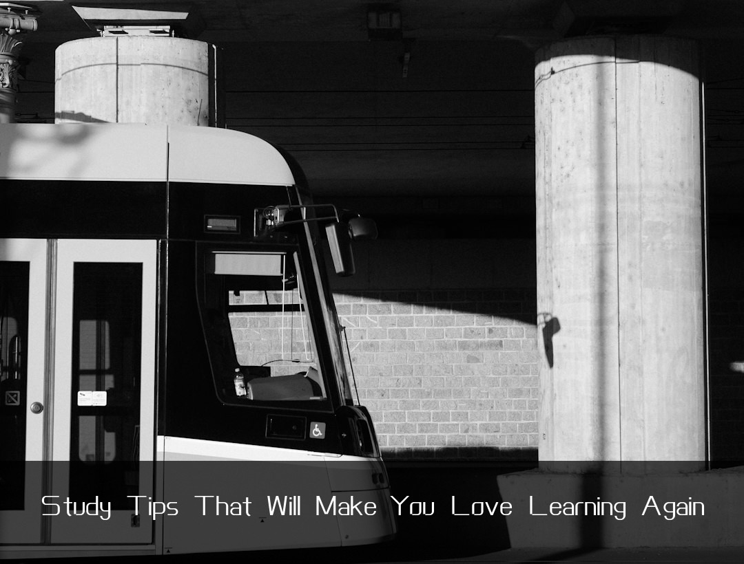 Study Tips That Will Make You Love Learning Again