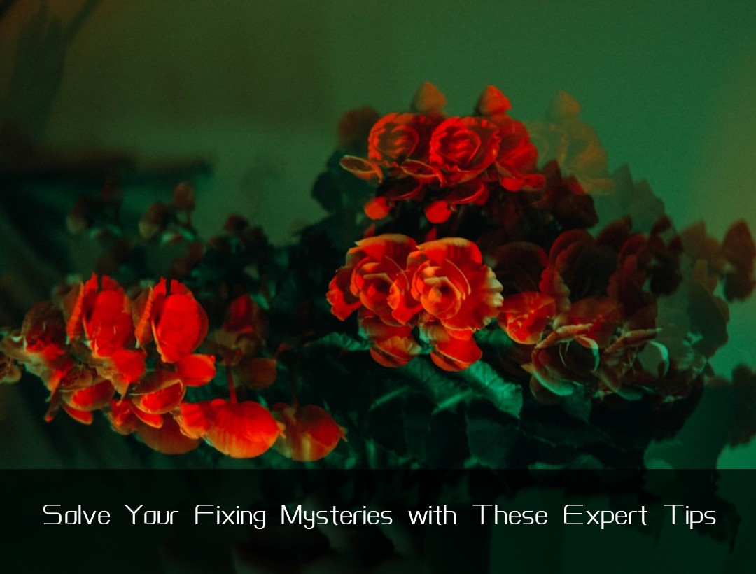 Solve Your Fixing Mysteries with These Expert Tips