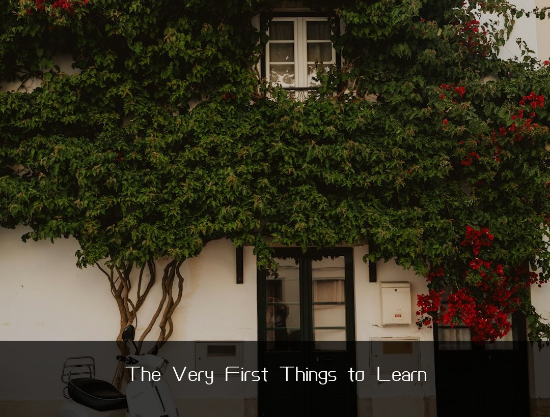 The Very First Things to Learn