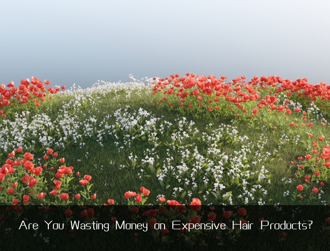 Are You Wasting Money on Expensive Hair Products?